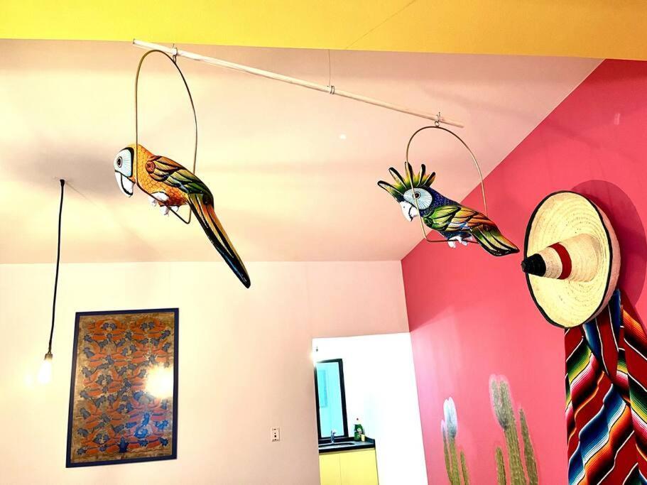 Apartment In The Touristic Heart Of Mexico City Exteriör bild